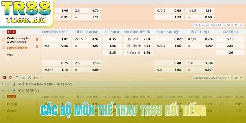 Các bộ môn thể thao TR88 nổi tiếng