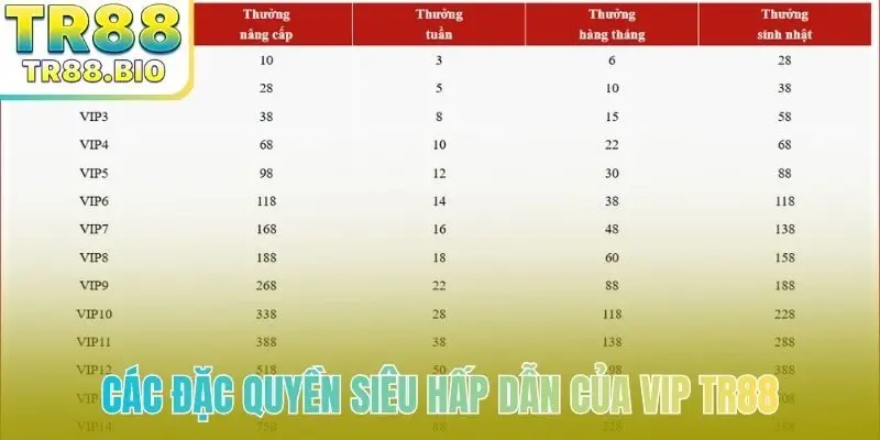 Các đặc quyền siêu hấp dẫn của VIP TR88