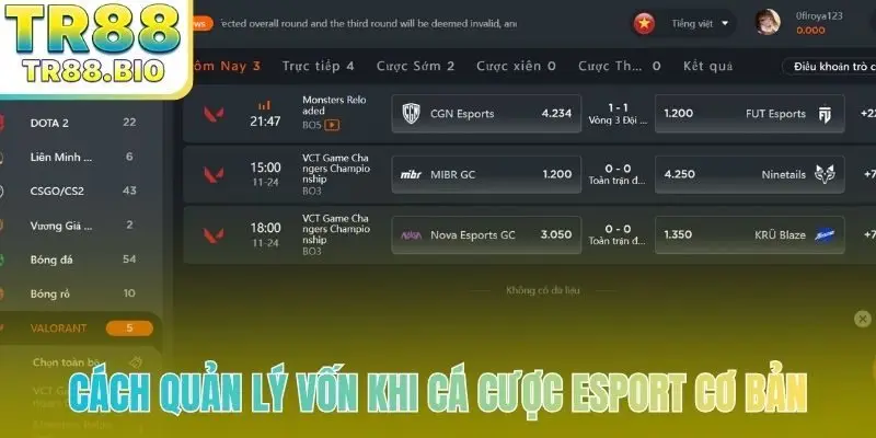 Cách quản lý vốn khi cá cược esport cơ bản