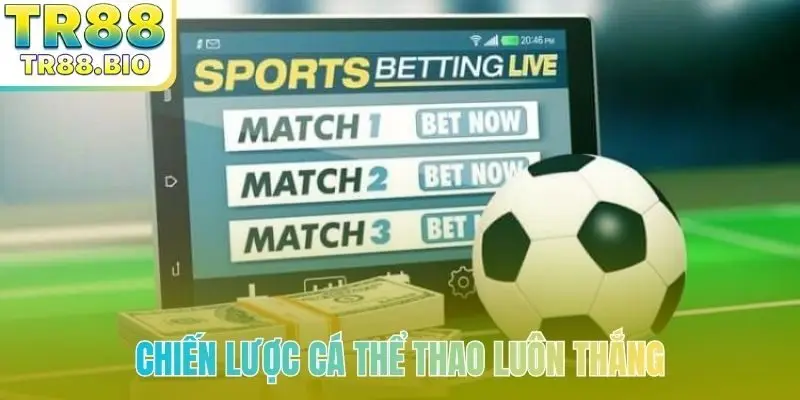 Chiến lược cá thể thao luôn thắng