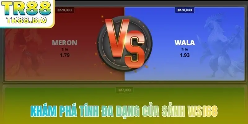 Khám phá tính đa dạng của sảnh Ws168