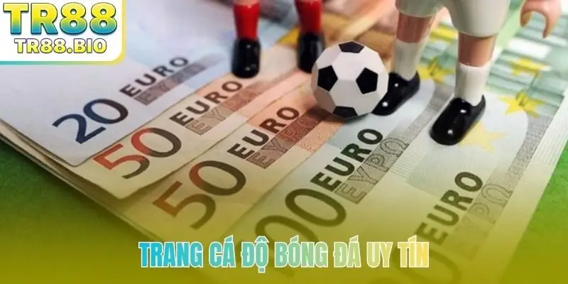 Trang cá độ bóng đá uy tín